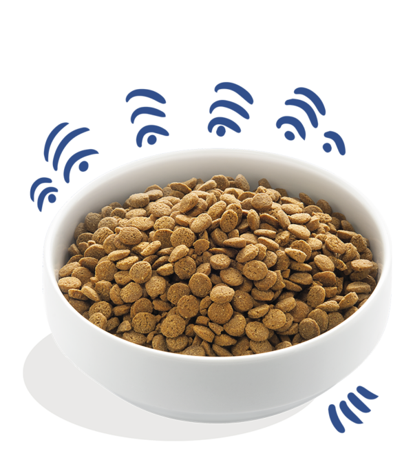 Edgard & Cooper Brokken - 7 kg - Afbeelding 2
