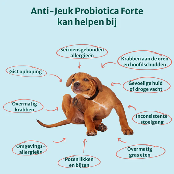 Dog Suppy Anti-Jeuk Probiotica Forte – 60 Snoepjes met Insecteneiwit - Afbeelding 3