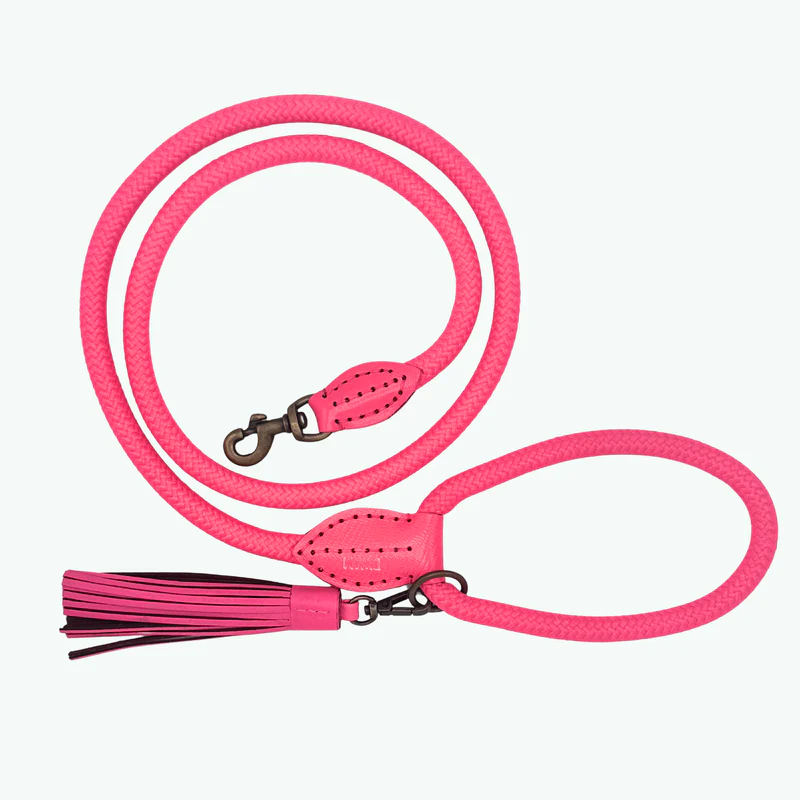 Classic Flamingo Hondenriem – Dog With a Mission