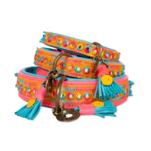 Indian Summer hondenhalsband - Dog With a Mission